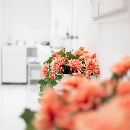 Casa de hóspedes Vittorio Veneto Luxury 4*