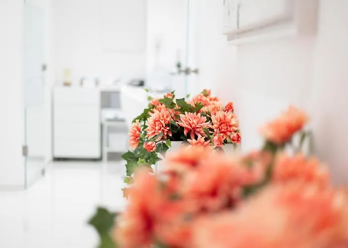 Guest house Vittorio Veneto Luxury 4*